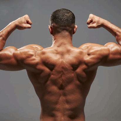 Molecularlabsolutions