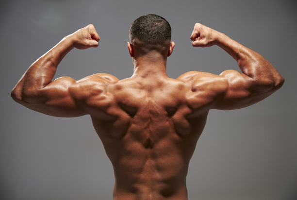 Pentingnya Otot Inti Kuat untuk Mendukung Tulang Belakang